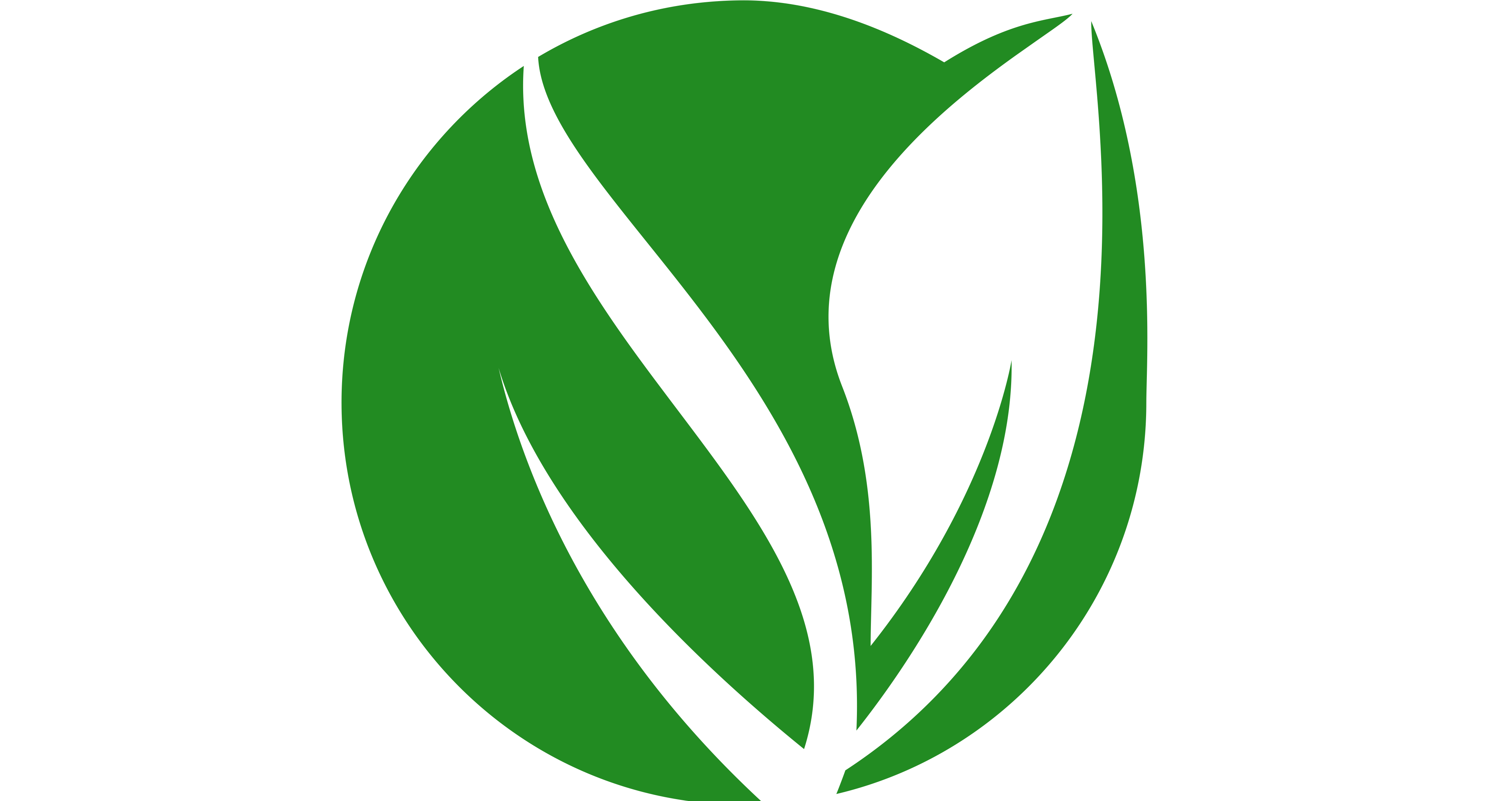 Eco Vision Garden Maintenance logo