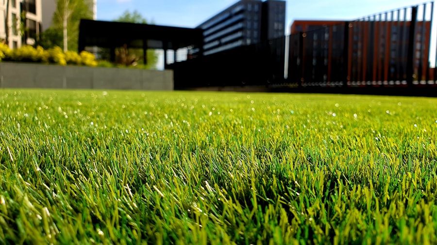 Regular lawn and garden maintenance